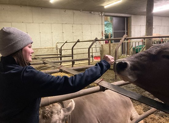 Ein Herz für Hof und Tiere