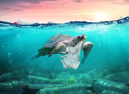 Quiz: Planet Plastik