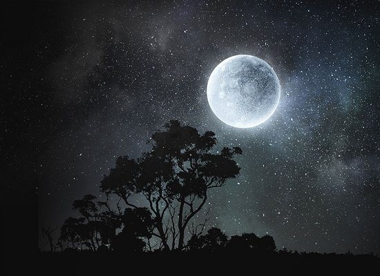 Zauber einer Mondnacht